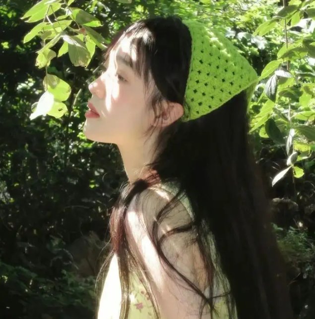 不完美的正义